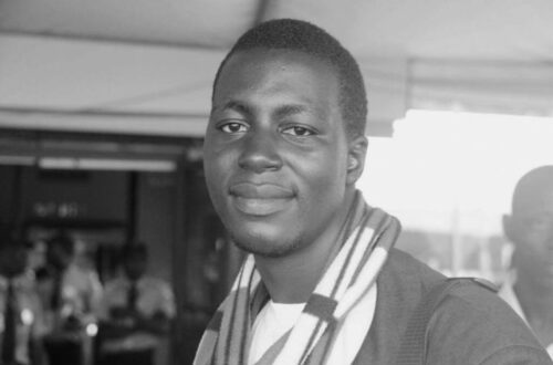 Article : Portrait d’entrepreneur numérique en Afrique : Entretien avec Melchior DEGNON YANCLO du Bénin