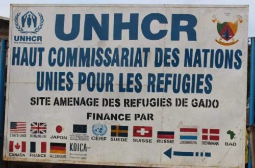 Article : Ma rencontre avec des réfugiés centrafricains au Cameroun